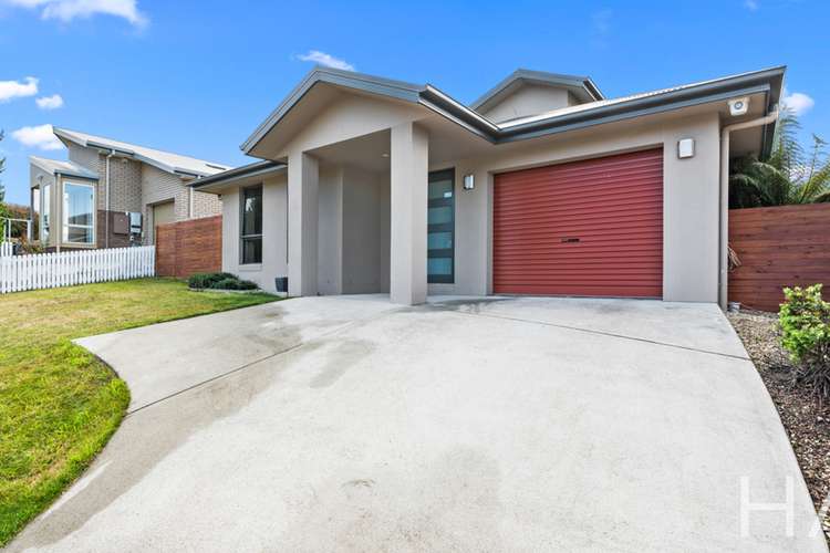 Main view of Homely house listing, 8 Kitty Way, Kingston TAS 7050