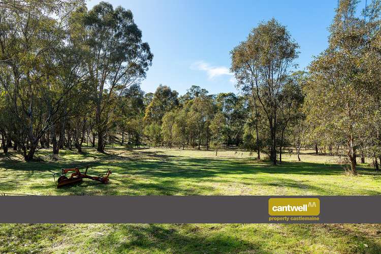 147 Sandy Creek Road, Maldon VIC 3463