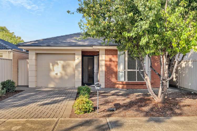 47 Orlando Avenue, Hampstead Gardens SA 5086