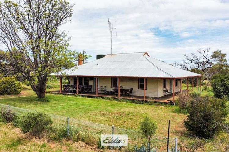 392 Millers Tank Road Road, Manangatang VIC 3546