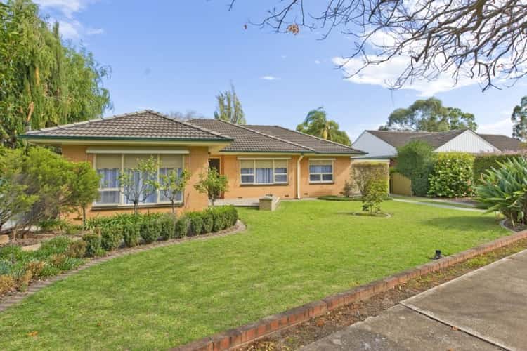 Main view of Homely house listing, 25 Teesdale Crescent, Plympton Park SA 5038