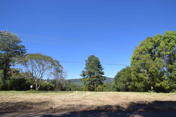 Third view of Homely residentialLand listing, 19 Basil Road, Nimbin NSW 2480