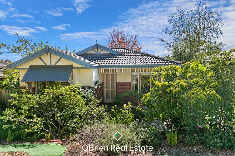 Main view of Homely house listing, 46 Highfielde Avenue, Berwick VIC 3806
