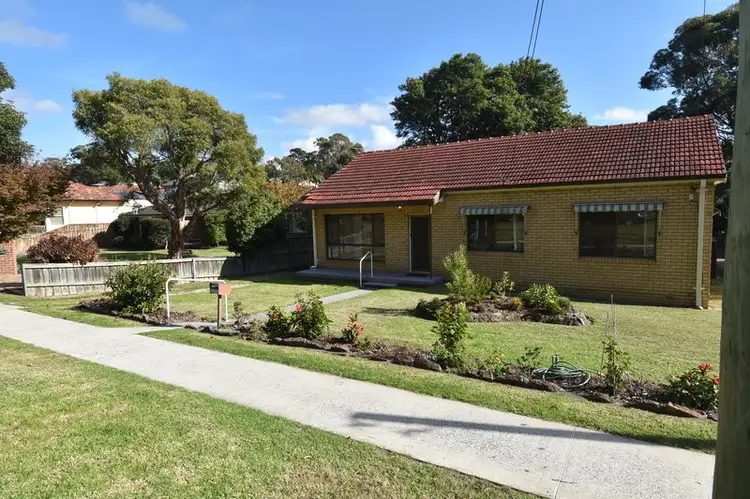 37 Kurrajong Street