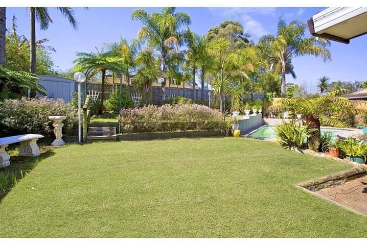 Fifth view of Homely house listing, 11 Robina Street, St Ives Chase NSW 2075