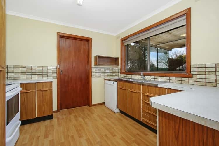 Fifth view of Homely house listing, 427 Schubach Street, Albury NSW 2640