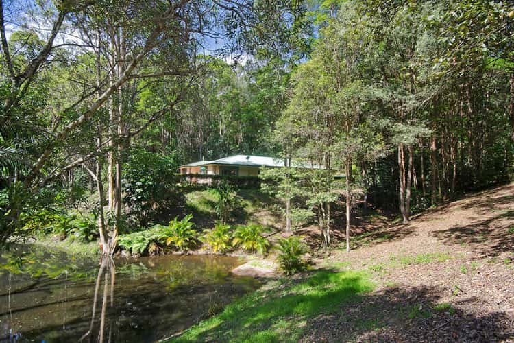 Fourth view of Homely house listing, 93C Austinville Road, Austinville QLD 4213