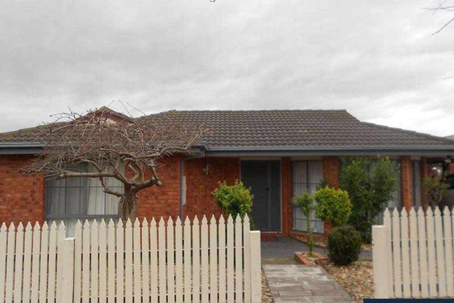 Main view of Homely house listing, 14 Harmon Close, Berwick VIC 3806