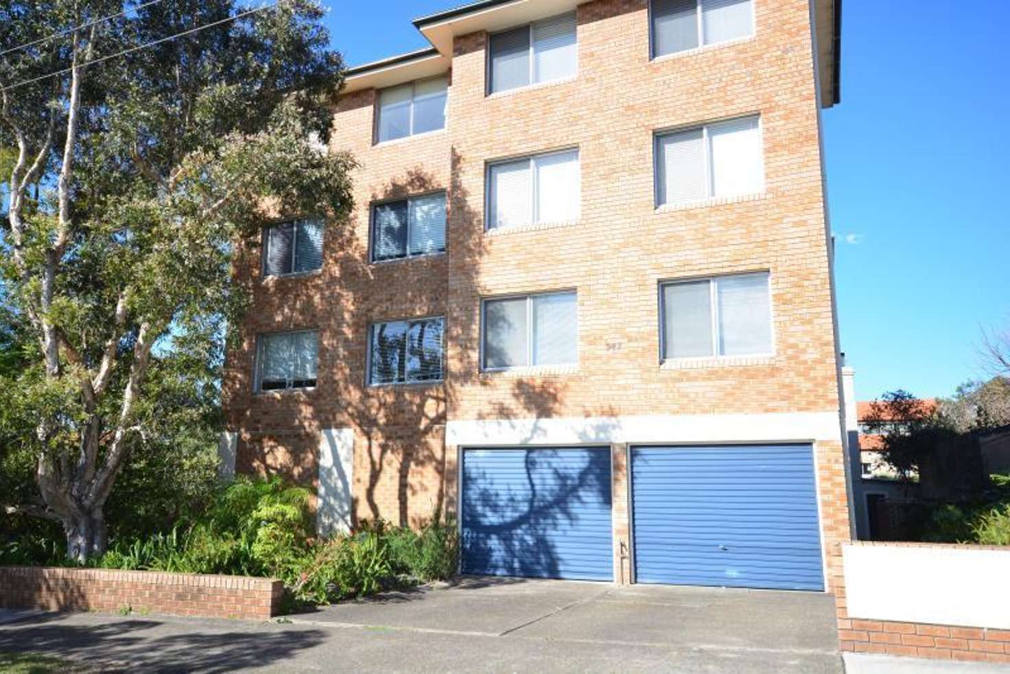 Main view of Homely unit listing, 8/347 ANNANDALE Street, Annandale NSW 2038
