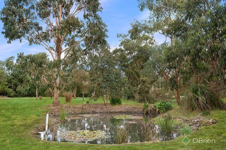 Third view of Homely acreageSemiRural listing, 16 Currawong Grove, Cannons Creek VIC 3977