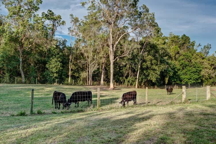 Sixth view of Homely house listing, 206 Mt Glorious Road, Samford Valley QLD 4520