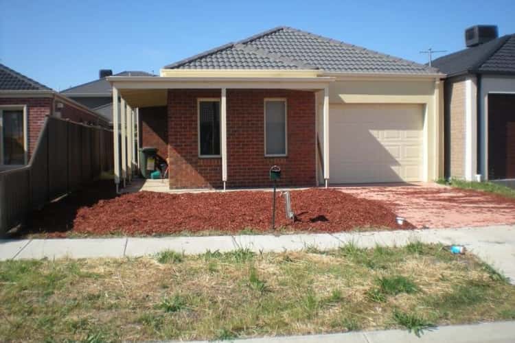 Main view of Homely house listing, 14 Healsville Loop, Craigieburn VIC 3064