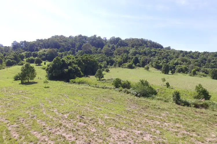 100 Bishops Creek Road, Coffee Camp NSW 2480