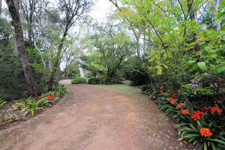 Sixth view of Homely house listing, 615 Illaroo Road, Bangalee NSW 2541
