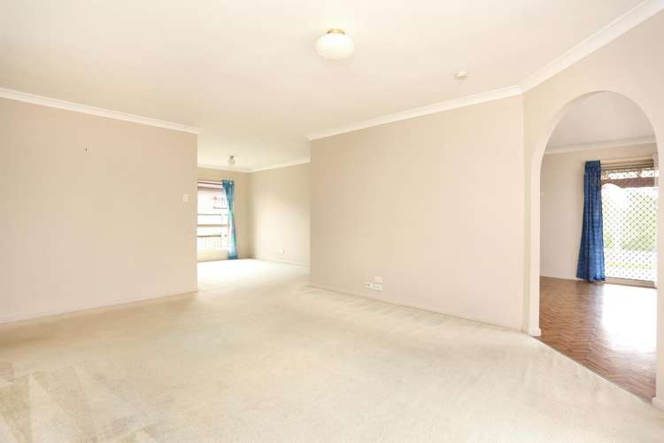 Fifth view of Homely house listing, 11 Timberland Place, Loganholme QLD 4129