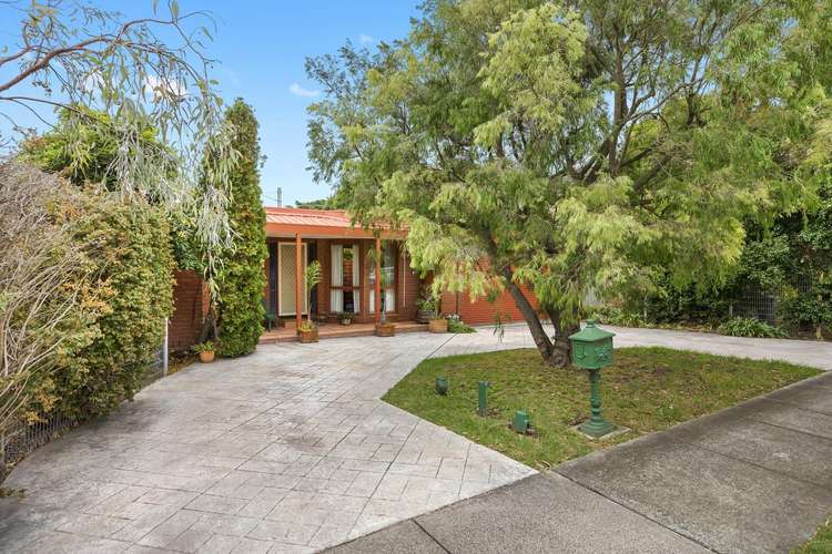 Main view of Homely house listing, 3 Deakin Street North, Hampton VIC 3188