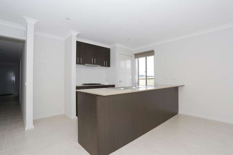 Main view of Homely house listing, 25 Curved Trunk Road, Officer VIC 3809