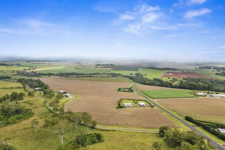 Fifth view of Homely acreageSemiRural listing, 4749 Gillies Range Road, Yungaburra QLD 4884