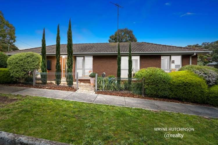 Main view of Homely house listing, 203 St Helena Road, Greensborough VIC 3088