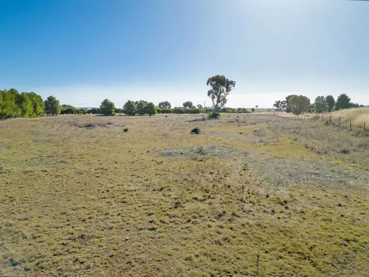 Fifth view of Homely rural property listing, 300 Calarie Road, Forbes NSW 2871
