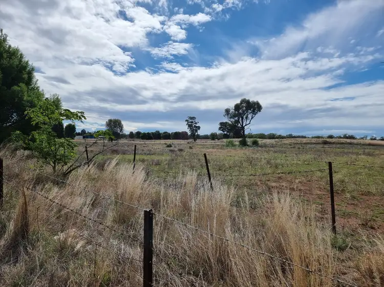 Sixth view of Homely rural property listing, 300 Calarie Road, Forbes NSW 2871