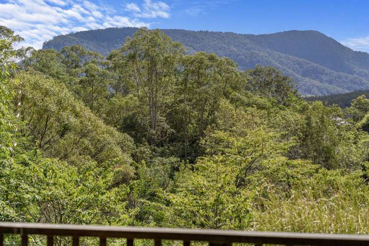 34 Basil Road, Nimbin NSW 2480