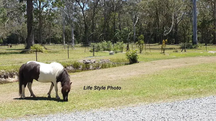 Third view of Homely rural property listing, 55 Tiki Road, Moonee Beach NSW 2450