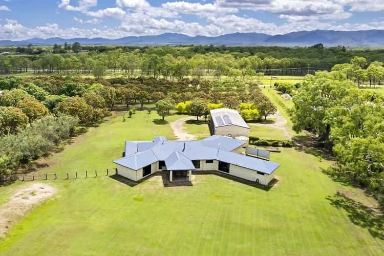 Fifth view of Homely lifestyle listing, 92 Mines Road, Mareeba QLD 4880