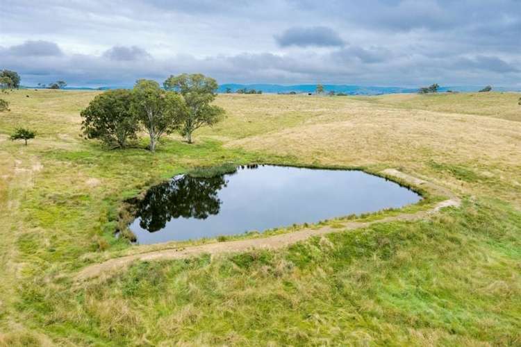 Main view of Homely livestock listing, 254 Losebys Road, Big Hill NSW 2579