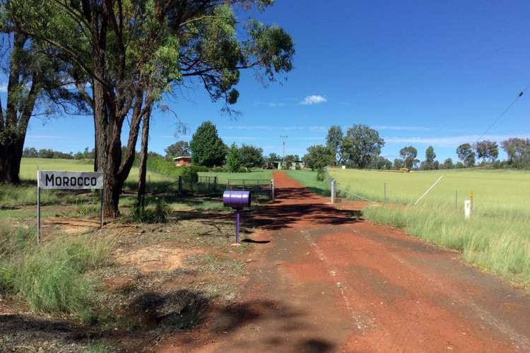 Main view of Homely lifestyle listing, 3389 Bundarra Road, Inverell NSW 2360