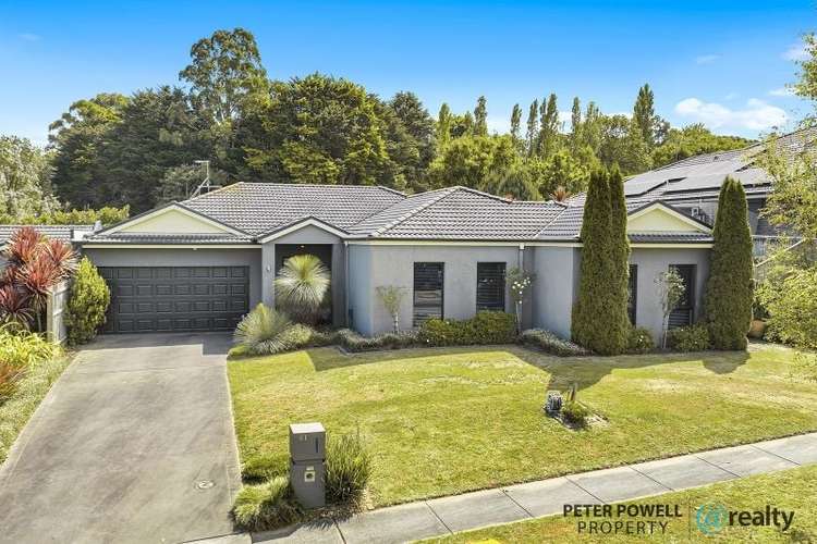 61 Windhaven Drive, Warragul VIC 3820