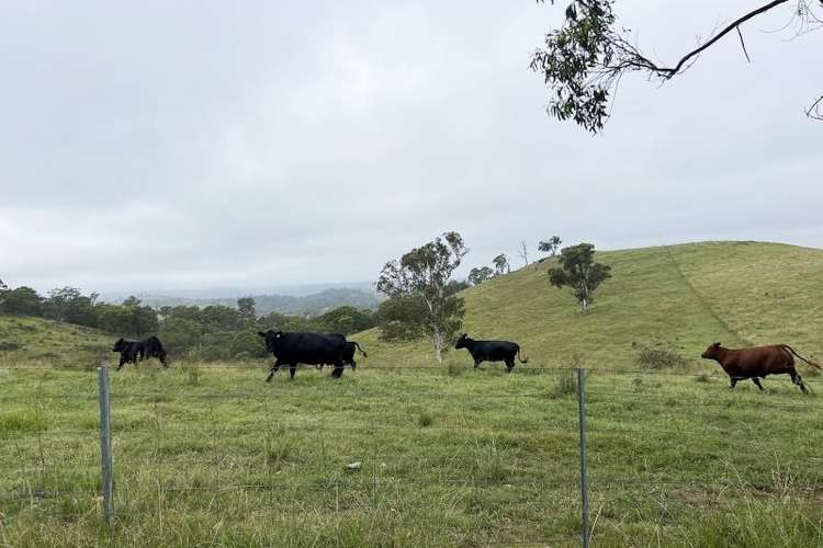 Main view of Homely livestock listing, 940 Hanworth Road, Bannaby NSW 2580