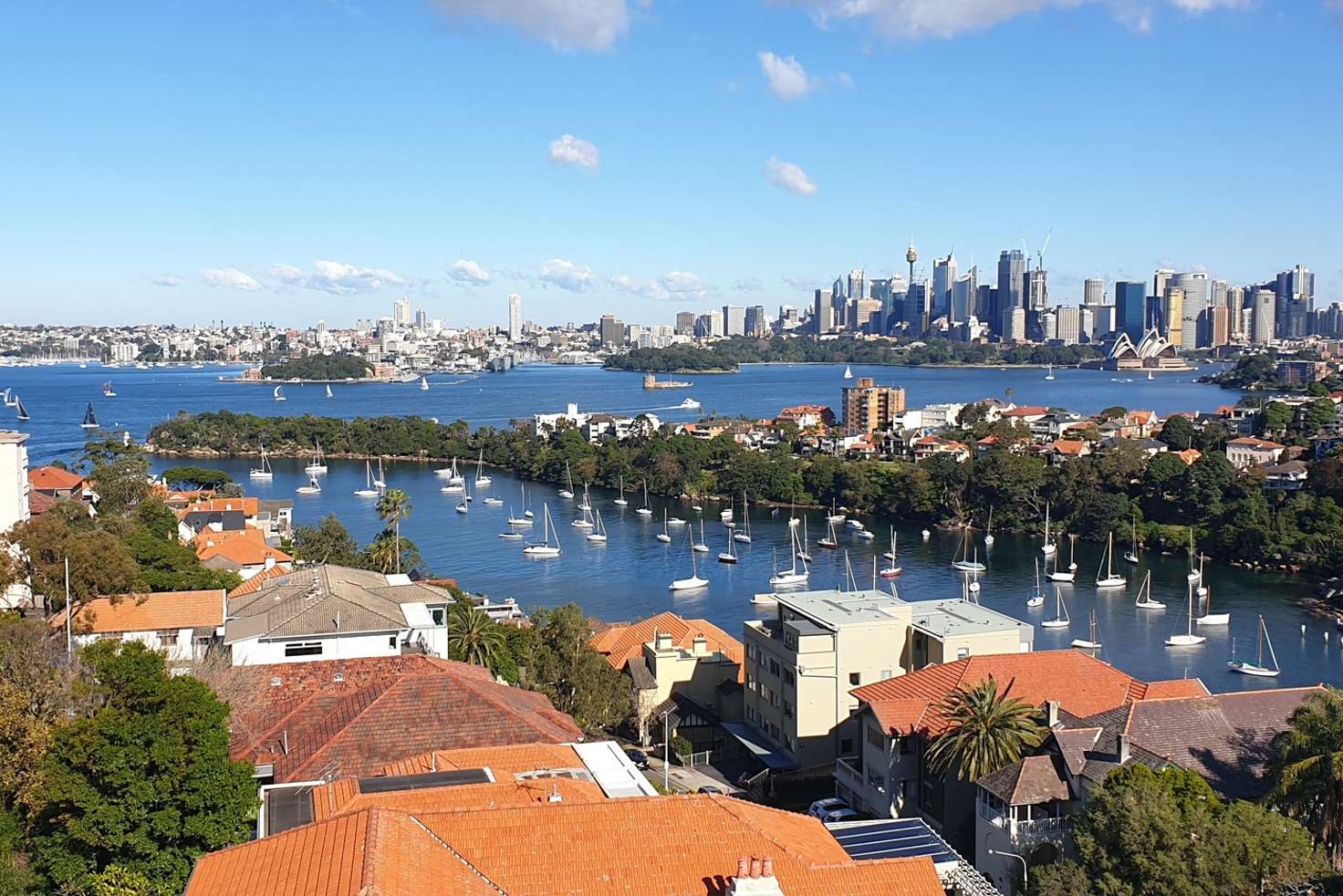 Main view of Homely apartment listing, 84/43 Musgrave Street, Mosman NSW 2088