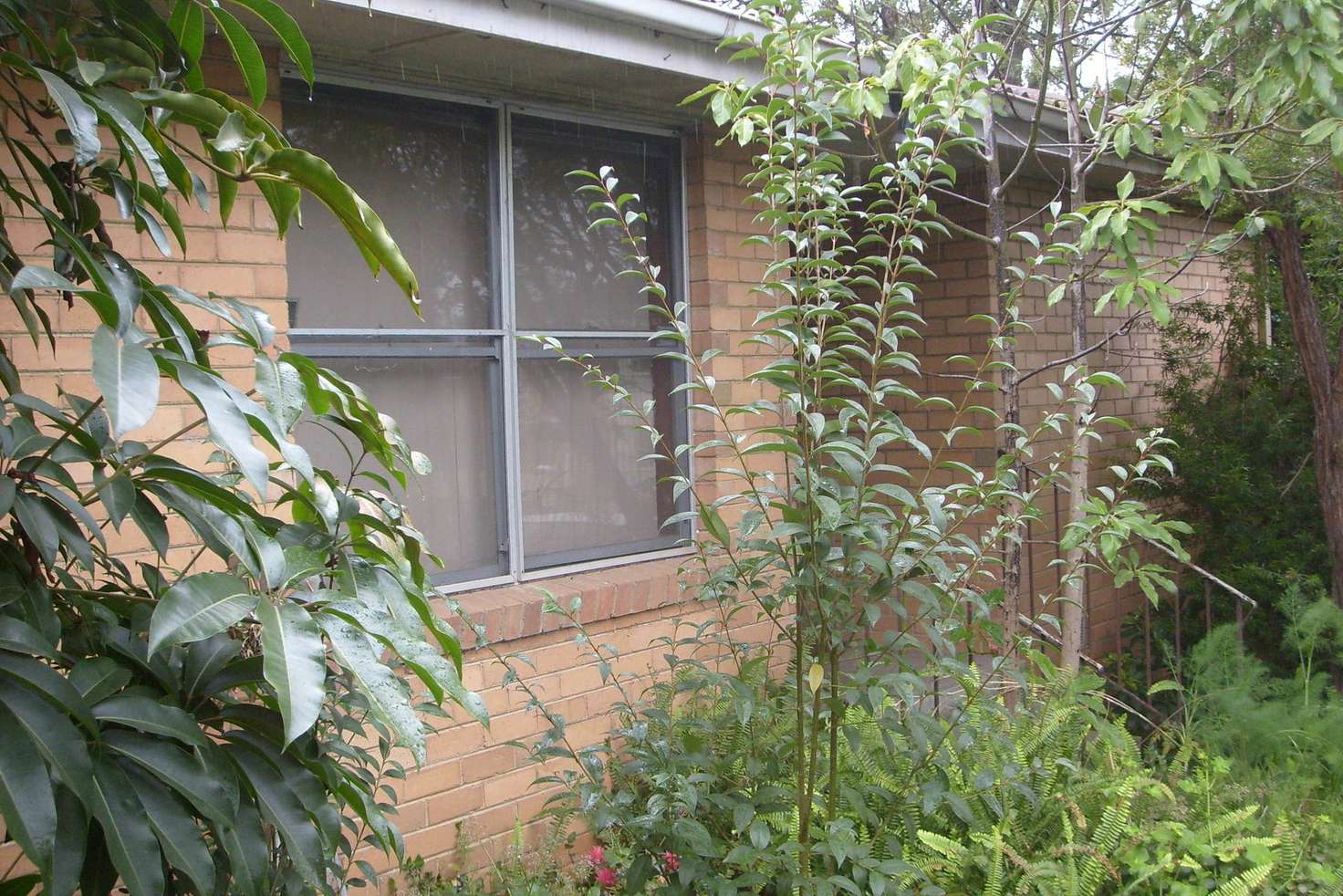 Main view of Homely house listing, 47 Frensham Road, Watsonia VIC 3087