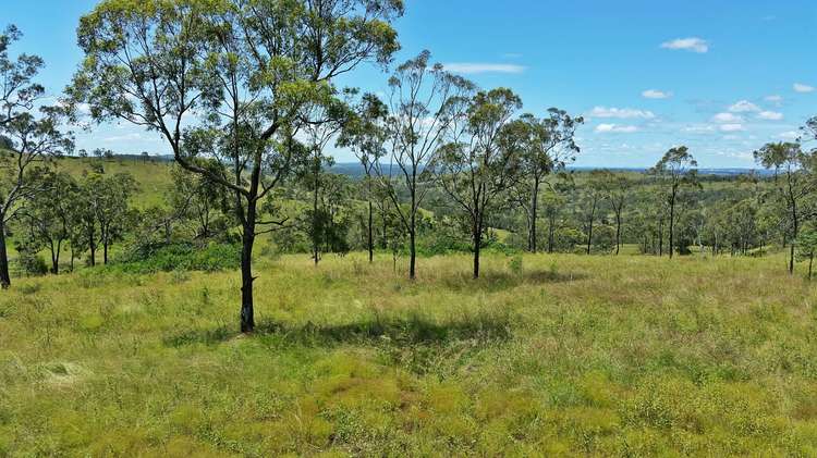 Lot 24 Saddle Tree Creek Rd, Wengenville QLD 4615