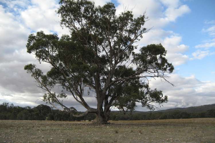 Main view of Homely residentialLand listing, Off Frenchmans-St Arnaud Rd, Barkly VIC 3384