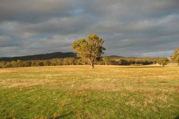Third view of Homely residentialLand listing, Off Frenchmans-St Arnaud Rd, Barkly VIC 3384