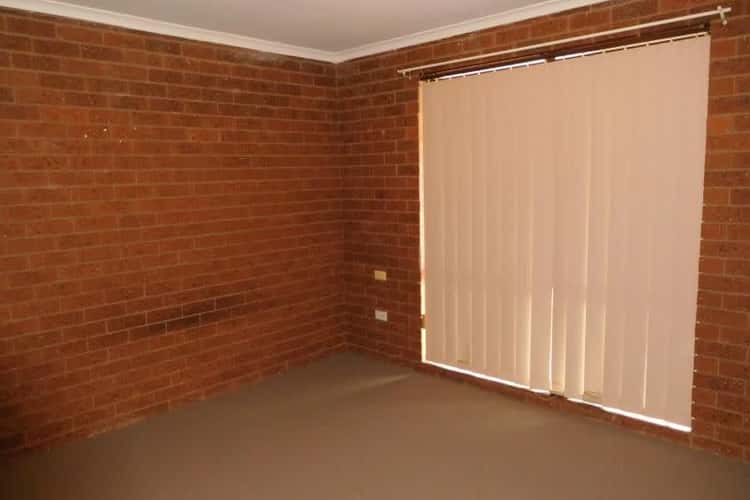Fifth view of Homely unit listing, 3-8 Kokoda Street, Ashmont NSW 2650
