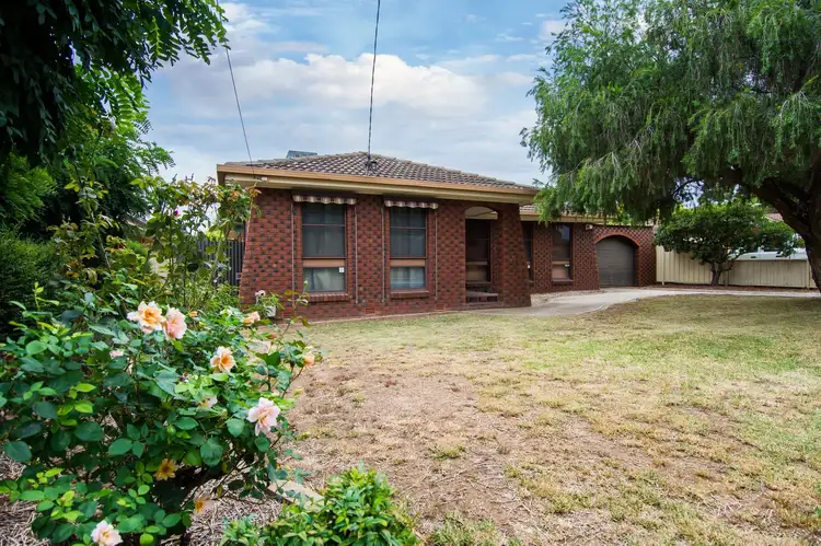 53 Crawford  Street, Ashmont NSW 2650