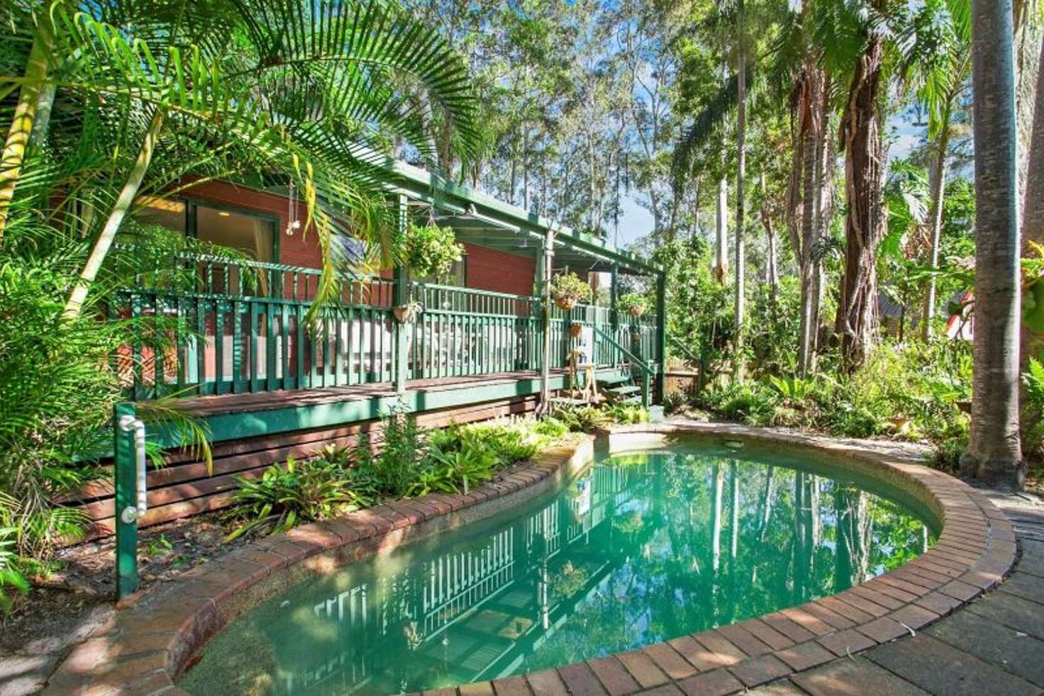 Main view of Homely house listing, 11 Rainforest Court, Boreen Point QLD 4565