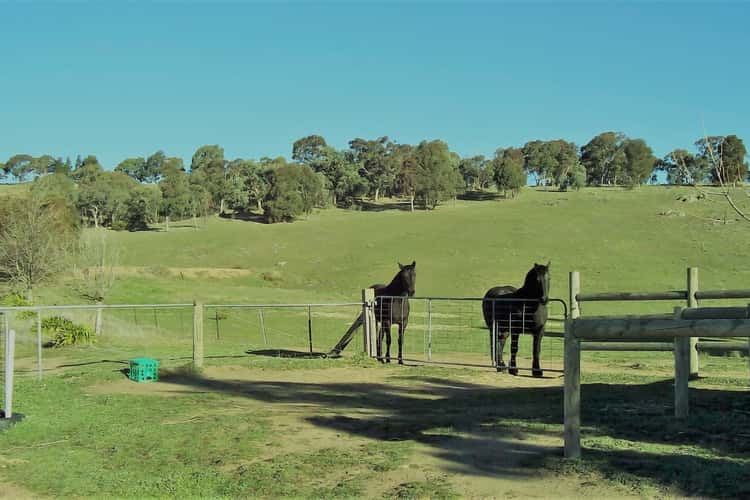 Seventh view of Homely acreageSemiRural listing, 358 Spring Gully Road, Huon Creek VIC 3691