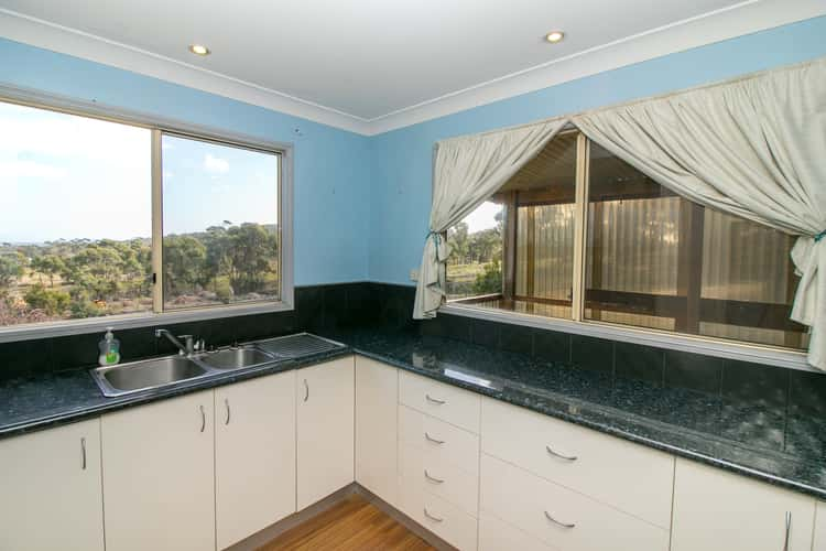 Sixth view of Homely acreageSemiRural listing, 31 Gees Marsh Rd, Bellingham TAS 7254