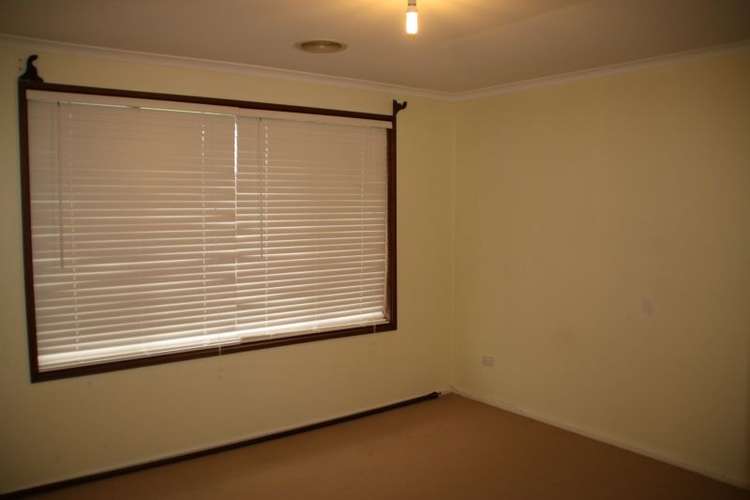 Fifth view of Homely house listing, 43 Crawford Street, Ashmont NSW 2650