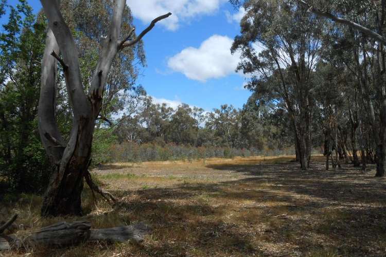 Main view of Homely residentialLand listing, 17 Burnt Creek Lane, Dunolly VIC 3472