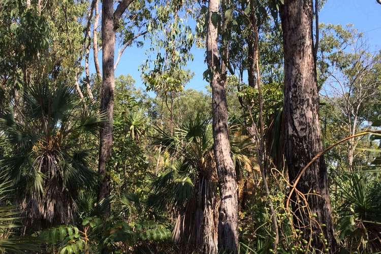 Second view of Homely residentialLand listing, LOT Lot 3, 139 Eucalyptus Road, Herbert NT 836