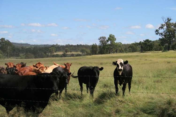 Main view of Homely residentialLand listing, Lot 17 Kingaroy-Cooyar Road, Brooklands QLD 4615