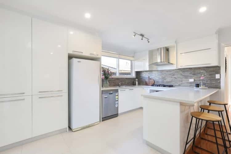 40 Douglass Street, Herne Hill VIC 3218