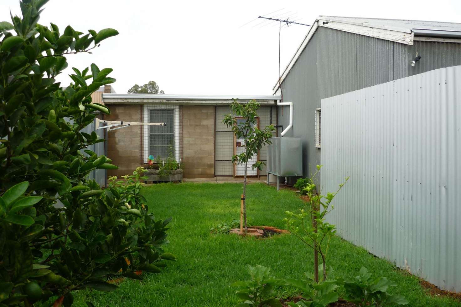 Main view of Homely house listing, 52 Mulgundawah Road, Murray Bridge SA 5253