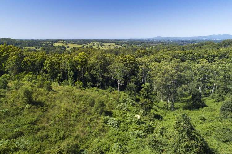 Third view of Homely acreageSemiRural listing, 260 Balance Tank Road, Bowraville NSW 2449