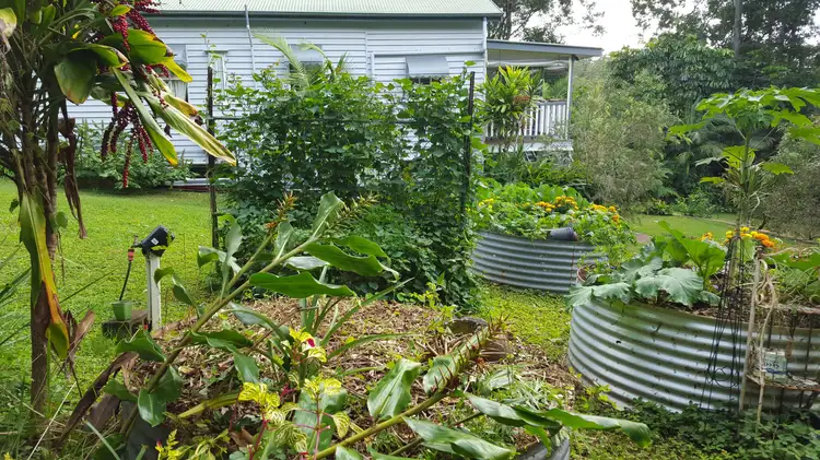 Fifth view of Homely house listing, 47 Mapleton Falls Road, Mapleton QLD 4560